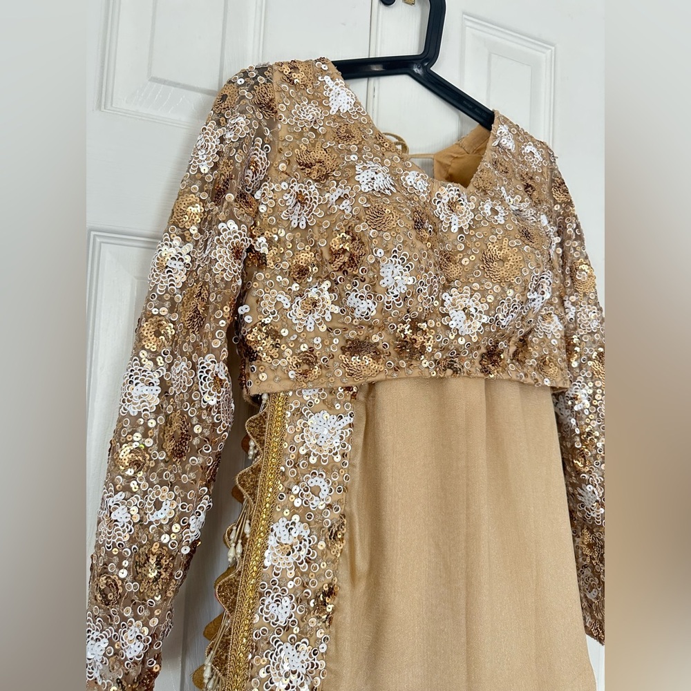 Silk saree with seqin blouse set - Picture 3 of 11